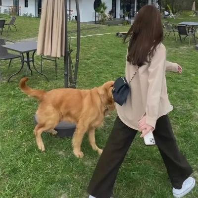 育阴房